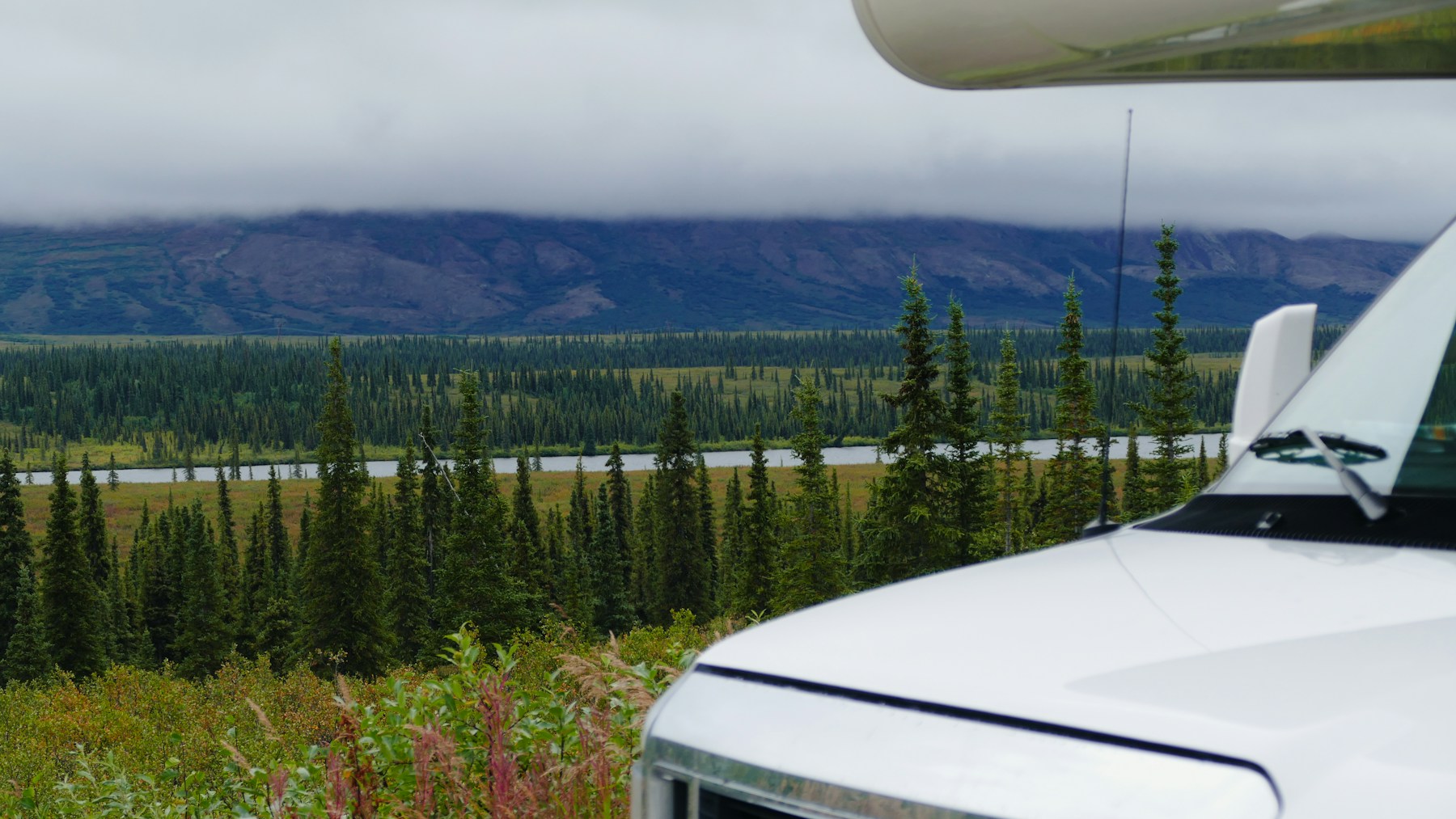 A camper surrounded by the forests and hills of Denali, Alaska